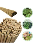 ekofidan Bambu Fidan Bitki Destek Çubuğu 150 Cm 25 Adet - 1