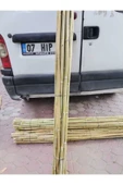 ekofidan Bambu Fidan Bitki Destek Çubuğu 150 Cm 25 Adet - 4