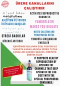 FEROXİT EGG MİX Yumurta Kanalı ve Kabuk Kalitesi Arttırır - 1