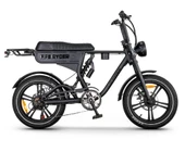 Ape Ryder DC20 250 W İki Kişilik Elektrikli Bisiklet siyah - 1