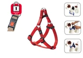 Karlıe Kilitli Göğüs Tasma Xs 20-35cm Kırmızı - 1
