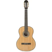 Miguel Artegas Mag150 Klasik Gitar - 1