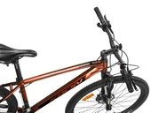 XC 300 - 29  MTB - 19' - 18 Vites - H.DISC - Kahverengi - Siyah thumbnail 1