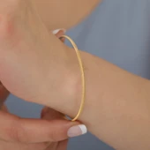 14 Ayar Mikron Altın Kaplama İnce Ray Desenli Ajda Gümüş Bilezik - BV00112 thumbnail 1