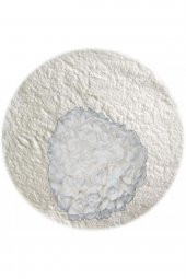 TAŞ TOZU BEYAZ 1KG - 1