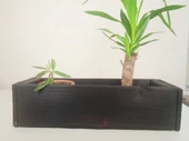 Wood&Pot Dekoratif Yakisugi Saksılık - 55x17x13 - 6