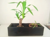 Wood&Pot Dekoratif Yakisugi Saksılık - 52x17x13 - 8