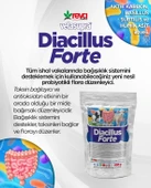 Vetasupra Diacillus Forte 500gr - 1