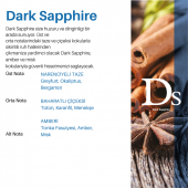 Carpex Dark Sapphire - E2 Power Koku Kartuşu 125 ml. - 2