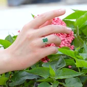 Baget Paribu Icecut Taşlı Gümüş Yüzük thumbnail 2