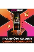 Axe Premium Collection Erkek Sprey Deodorant Copper Santal 72 Saat Ferahlık 150 ml - 3