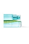 L'Oreal Paris L'oréal Paris Nem Terapisi Aloe Vera Suyu Normalden Karmaya Ciltler - 6