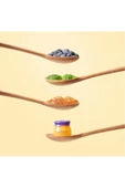 FRUDIA Blueberry Nemlendirici Dudak Balmı 10g - 5