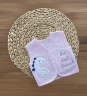 TonTon Bebe Dinazor Kapartma Desenli Pembe Yelek - 1