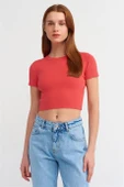 Bisiklet Yaka Kısa Kol Crop Kırmızı Kazak 10357-2Y4 thumbnail 1