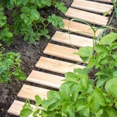 Yürüyüş Ahşap yolu 250 cm Veranda yolu Yürüme Yolu Bahçe Yolu 30-40-50 cm - 3