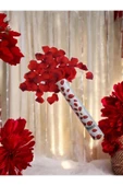 Güllü Konfeti, Kına Gecesi, Parti, Düğün, Nikah, Nişan, Doğum Günü, 30 cm , 3 Adet - 5