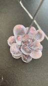 Şeffaf Epoksi Pembe Renkli Glitterli Sukulent Şekil Kağıt Tutacağı Notluk Epoksi El Yapımı Hediyelik - 4