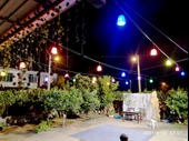 Çarşıbu Alaçatı Ağaç Feneri 10'lu Set Dekoratif Dış Mekan Aydınlatma Armatürü Cafe Restoran Düğün Salonu Otel Organizasyon İçin Rustik Bahçe Peyzaj Işıklandırma Sarkıt Avize - 2