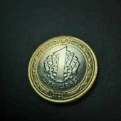 Escoines Koleksiyon 399636861c27c60d17 2022 1Türk lirası ÇİL eski madeni para - 4