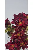5 DALLI BORDO ÇAN ÇİÇEĞİ ARANJMANLI 34 CM VAZO SÜSÜ DEKOR ÇİÇEĞİ thumbnail 1