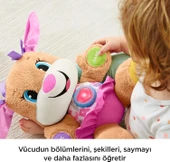 Fisher Price Eğitci Köpekçiğin Kız Kardeşi (Türkçe) thumbnail 7