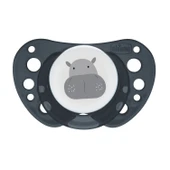 Chicco PhysioForma Air 2'li Silikon Emzik 16-36 Ay thumbnail 4