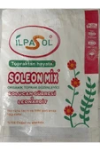 Organik Solucan Gübresi Bahçe,fide,çiçek için 4 Kg - 3