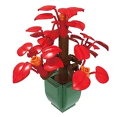 Nessiworld   Bitki Çiçekleri 8820 thumbnail 1