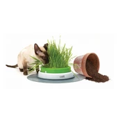 Catit Senses 2.0 Grass Planter - 3