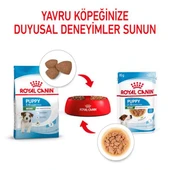 Royal Canin Mini Puppy Küçük Irk Yavru Köpek Konservesi 85gr - 3