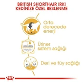 Royal Canin British Shorthair Adult Yetişkin Yaş Kedi Maması 85gr - 5