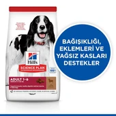Hills Medium Adult Kuzu Etli Yetişkin Köpek Maması 12+2Kg Bonus Paket - 3