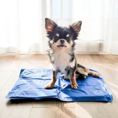 M-Pets Frozen Köpek Serinletici Soğutucu Mat XS 30x40Cm - 1