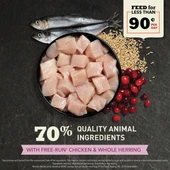 Acana Kitten First Feast Tavuklu ve Balıklı Yavru Kedi Maması 1,8Kg - 3