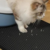 M-Pets Duplex Elekli Kedi Kumu Paspası Siyah 45x65cm - 2