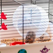 Ferplast Criceti 9 Hamster Kafesi Uzay Temalı - 4