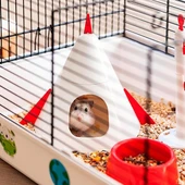 Ferplast Criceti 9 Hamster Kafesi Uzay Temalı - 7