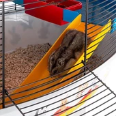 Ferplast Circus Fun Hamster Kafesi Siyah 49x34x42Cm - 6