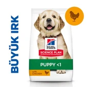 Hills Large Breed Puppy Tavuklu Yavru Köpek Maması 2,5Kg - 1