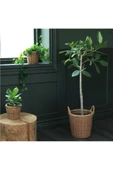 IKEA KAKTUSIFON tattan saksı 12 cm - 3