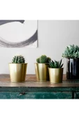 IKEA Gold Renk Saksı Bitki Çiçek Saksısı 9 Cm Çelik - 3
