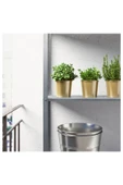 IKEA Daıdaı Pirinç Rengi Metal Saksı 9 Cm 70359401 - 3