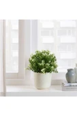 IKEA Sesamfrön Saksı Kırık Beyaz 9 Cm 00478351 - 5