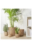 IKEA Klynnon Saksı Bambu 9 Cm 20523239 - 5