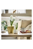 IKEA Vınterfınt Çelik Saksı Altın Rengi 12 Cm 40579763 - 2