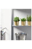 IKEA Gold Renk Saksı Bitki Çiçek Saksısı 9 Cm Çelik - 7