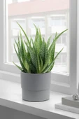 IKEA NYPON Saksı - 3