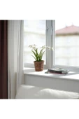 IKEA Yapay Saksılı Sarı Orkide, 12 Cm Ev-bahçe Dekorasyonu - 3