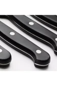 IKEA Snıtta Et - Biftek - Bonfile Bıçağı 22 Cm 4 Adet - 2